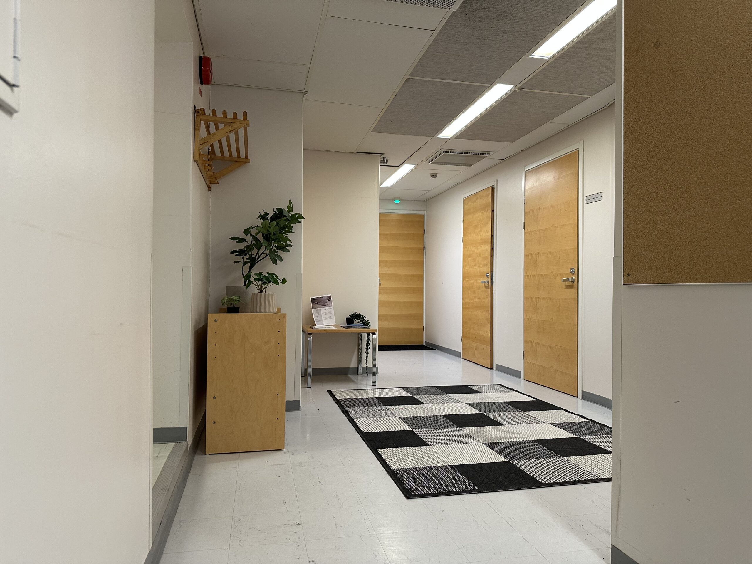 Paihola airbnb asunto