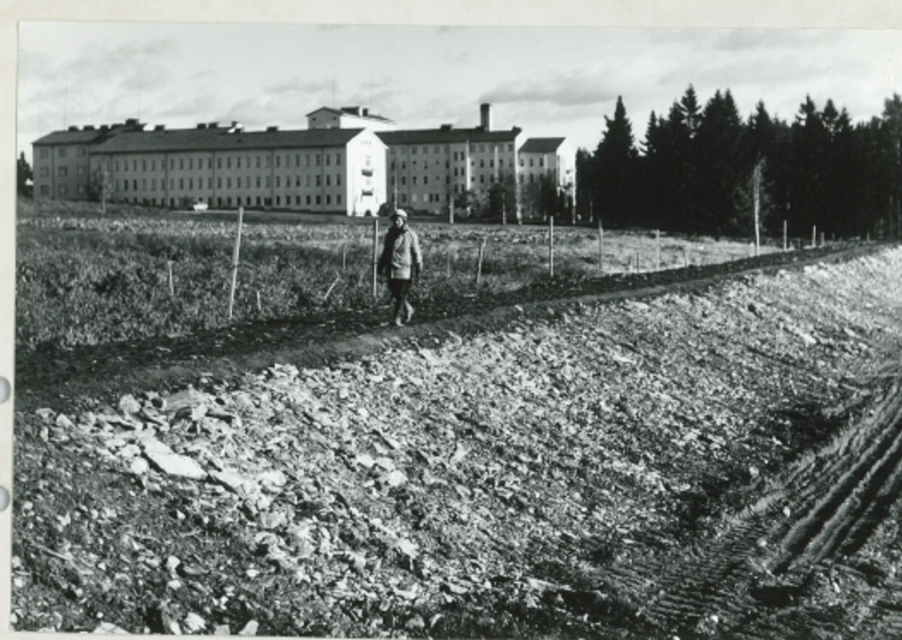 sairaalasta vanha kuva